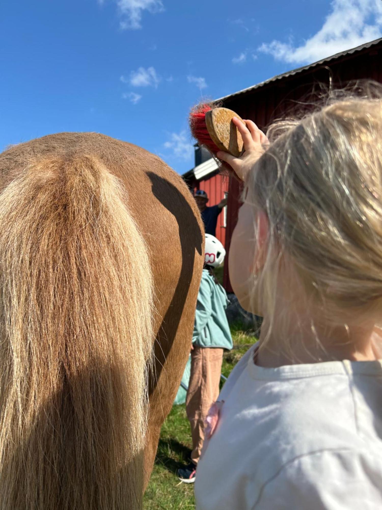 Asgardane Gjestegard Gol Exterior foto